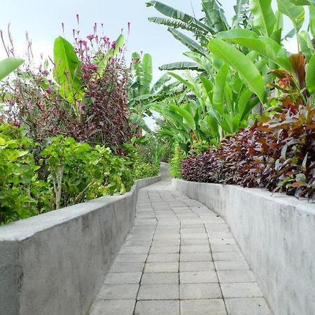 Rendira Villa 2 Ubud  Luaran gambar