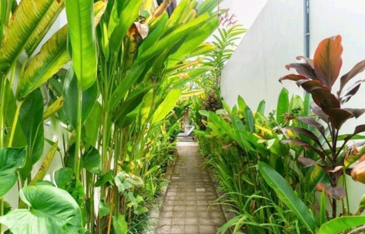 Rendira Villa 2 Ubud  Luaran gambar